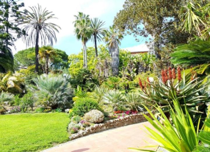 Ampio Appartamento Centrale Sanremo Bagian luar foto